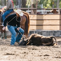 Calf roping sequence 4